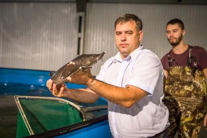 В Омске заработал уникальный завод по воспроизводству красной рыбы.