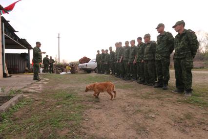 Луганск. Палаточный лагерь народного ополчения Алексея Мозгового.