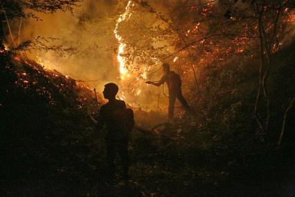 Пожарные борятся с лесным пожаром вблизи поселка Джанхот