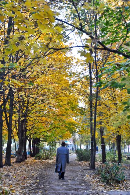 Мужчина в плаще уходит по осенней аллее