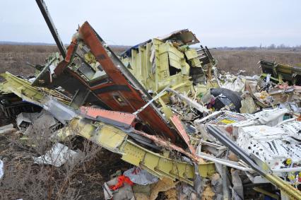 Село Грабово. Место крушения самолета Boeing 777 авиакомпании Malaysia Airlines, выполнявшего плановый рейс MH17 из Амстердама в Куала-Лумпур, произошедшая 17.07.14. На снимке: обломки самолета.