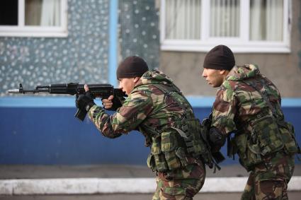 Боец прикрывает другова бойца во время показательного штурма здания. В честь Дня основания ОМОНа краснодарское управление провело день открытых дверей с показательными выступлениями и демонстрацией оружия.