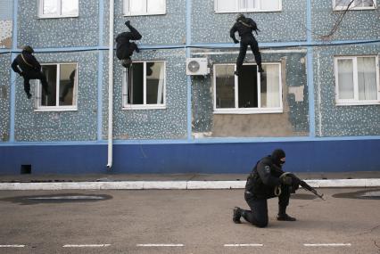 Боцы штурмуют здание во время показательный учений. В честь Дня основания ОМОНа краснодарское управление провело день открытых дверей с показательными выступлениями и демонстрацией оружия.