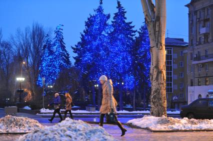 Донецк. Бульвар Пушкина. Новогоднее освещение на елках.