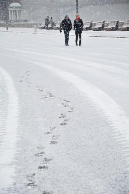 Снегопад в Москве. Парк Горького.