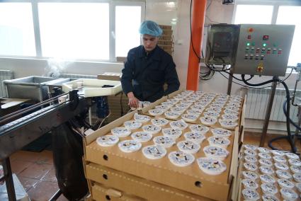 Рабочий на упаковочной линии завода молочной продукции УГМК-Агро. Верхняя Пышма. Свердловская область