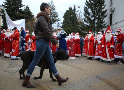 Женщина с собакой идет по площади Пушкина Краснодара, где проходит парад Дедов Морозов