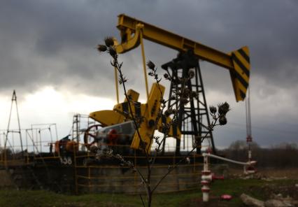 Нефтекачалки Роснефти в небольшом поселке Ахтырский Краснодарского края.