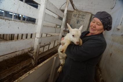 доярка держит на руках маленького козленка, на сельхозпредприятии по выращиванию коз и производству козьего молока – научно-производственный кооператив «Ачитский»