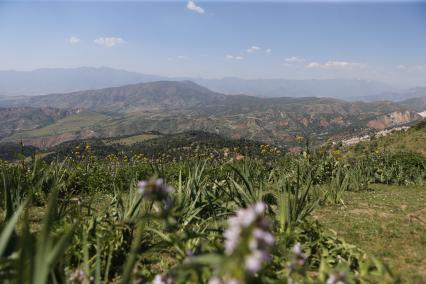 Самарканд. Горнолыжный курорт Бельдерсай.