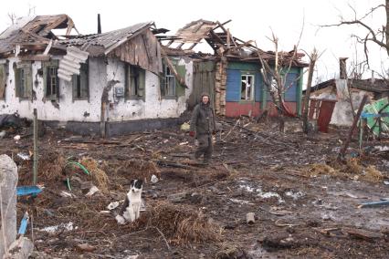 с.Никишино. Бои за село между ополчением ДНР и украинскими военными велись 4 месяца. В минувшие выходные ополченцы заняли село. На снимке: собака у разрушенных домов.