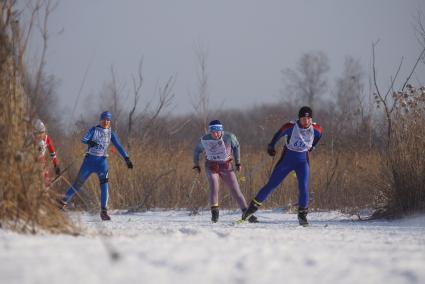 Участницы всероссийской лыжной гонки \"Лыжня России 2015\" во время женского забега среди спортсменов. Екатеринбург