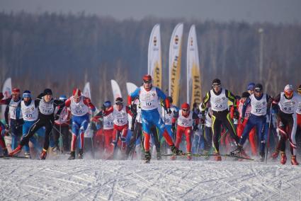 Участники всероссийской лыжной гонки \"Лыжня России 2015\" во время мужского забега среди спортсменов. Екатеринбург