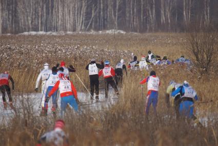 Участники всероссийской лыжной гонки \"Лыжня России 2015\" во время мужского забега спортсменов. Екатеринбург