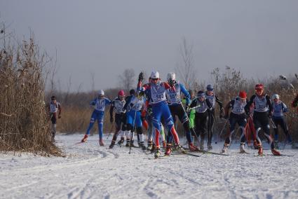 Участницы всероссийской лыжной гонки \"Лыжня России 2015\" во время женского забега среди спортсменов. Екатеринбург