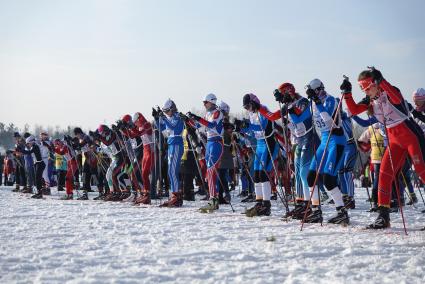 Участницы всероссийской лыжной гонки \"Лыжня России 2015\" во время женского забега среди спортсменов. Екатеринбург