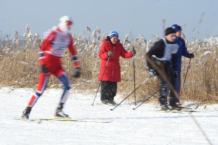 Участники всероссийской лыжной гонки \"Лыжня России 2015\" во время мужского забега спортсменов. Екатеринбург