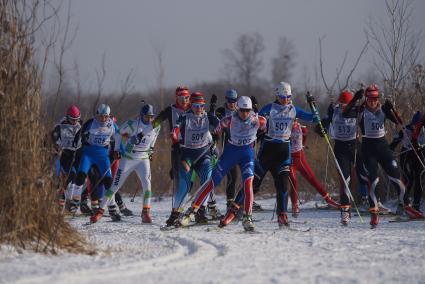 Участницы всероссийской лыжной гонки \"Лыжня России 2015\" во время женского забега среди спортсменов. Екатеринбург