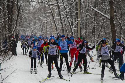 Спортсмены во время \'Лыжни России 2015\'