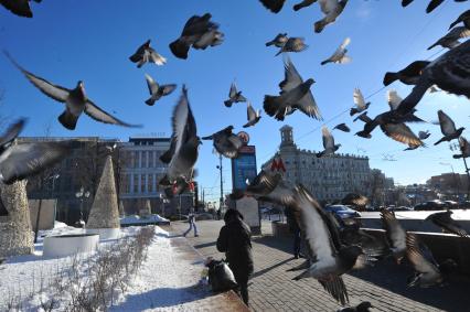 Голуби у станции метро `Пушкинская`.