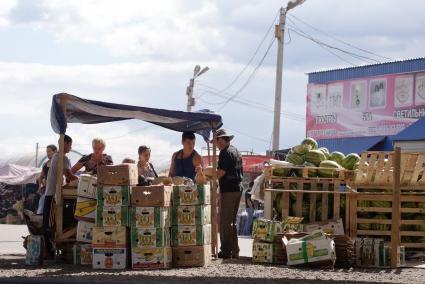 Торговая палата с арбузами и дыними, на продуктовом рынке в Екатеринбурге.