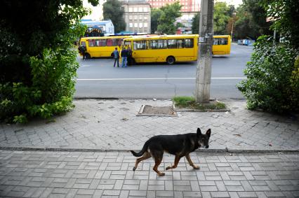 Украина. Донецк. Автовокзал.