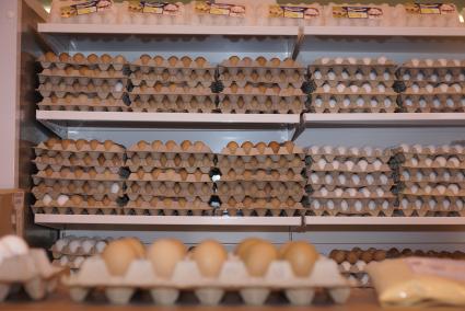 Куриные яйца в магазине