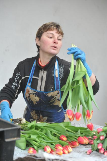 250 тыс. тюльпанов расцвели на ВДНХ к 8 марта в Москве.