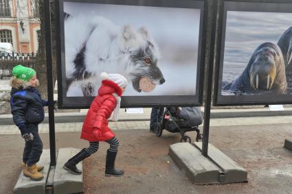 Открытие фотовыставки `Арктика: вчера, сегодня завтра` на Тверском бульваре в Москве.