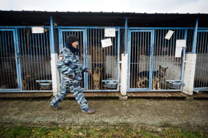 Девушка-полицейский кинолог проходит вдоль вольеров с служебными собаками. Уральский кинологический центр