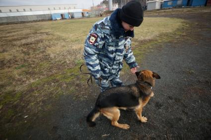 Девушка-полицейский кинолог с своей служебной собакой во время преодоления полосы препядствий. Уральский кинологический центр