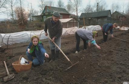 Подмосковье. Дачники сажают зелень.