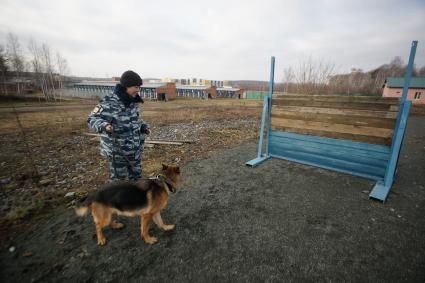 Девушка-полицейский кинолог с своей служебной собакой во время преодоления полосы препядствий. Уральский кинологический центр