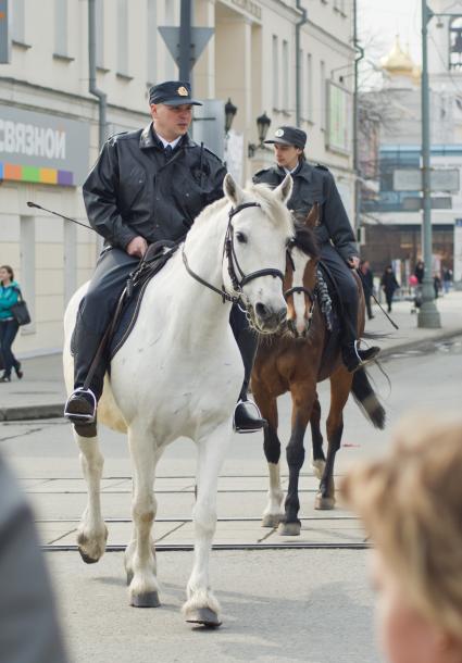 Полицейские верхом на лошадях, во время патрулирования. Екатеринбург