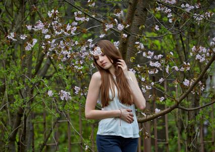 Москва. Девушка на фоне цветущей вишни.