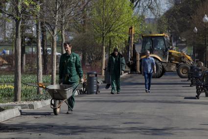 Москва. Центральный парк культуры и отдыха имени Горького. Работы по озеленению территории.