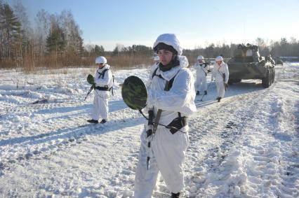 п.Нахабино. Саперы с миноискателями на учениях 45-ой отдельной инженерной бригады.