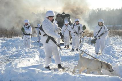 п.Нахабино. Саперы с собаками и миноискателями на учениях 45-ой отдельной инженерной бригады.