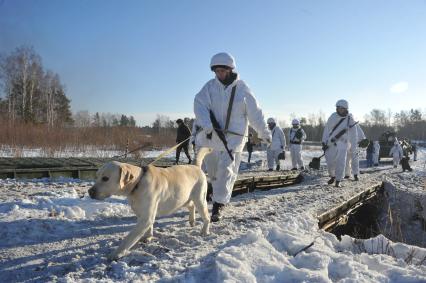 п.Нахабино. Саперы с собаками и миноискателями на учениях 45-ой отдельной инженерной бригады.