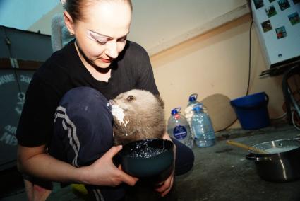 Цирковая артистка кормит одного из двух медвежат, переданных в Екатеринбургский цирк охотниками.