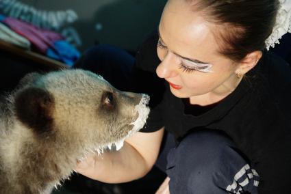 Цирковая артистка кормит одного из двух медвежат, переданных в Екатеринбургский цирк охотниками.