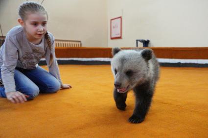 Цирковая артистка с одним из двух медвежат, найденных в лесу охотниками, на репетиционном манеже Екатеринбургского цирка.