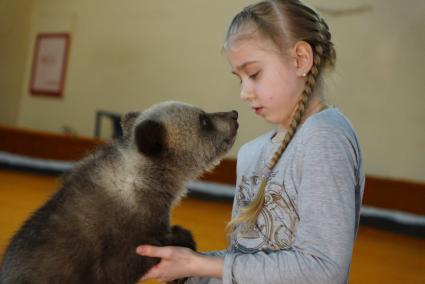 Цирковая артистка с одним из двух медвежат, найденных в лесу охотниками, на репетиционном манеже Екатеринбургского цирка.