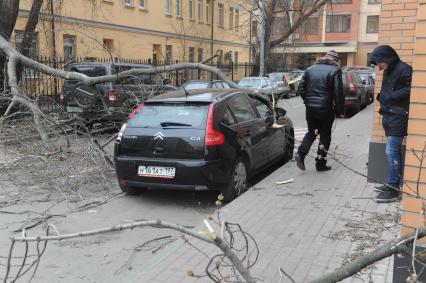 Дерево упавшее на машину в результате штормового ветра в Москве.