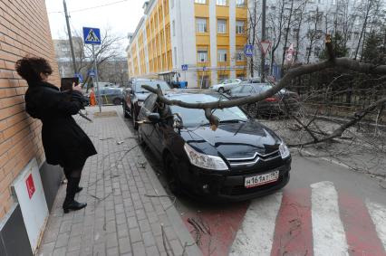 Дерево упавшее на машину в результате штормового ветра в Москве.