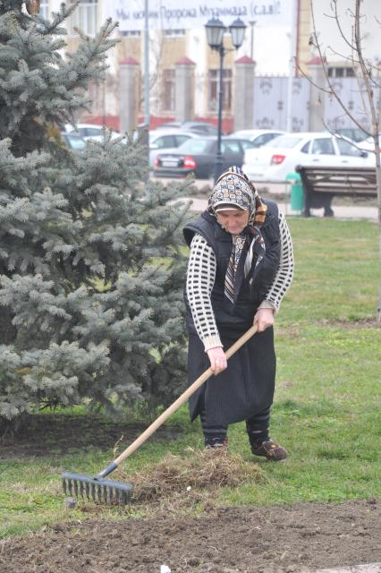 Грозный. Женщина убирает старую траву.