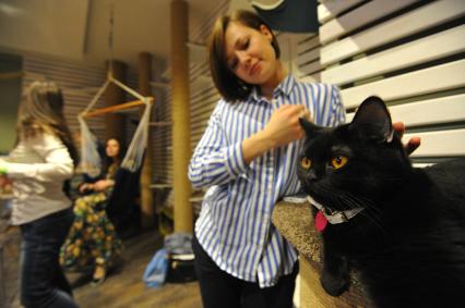 В Москве открылось  первое котокафе `Котики и люди`.