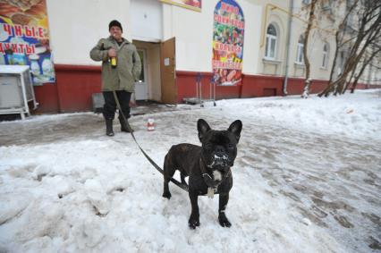 Москва. Мужчина выгуливает собаку.