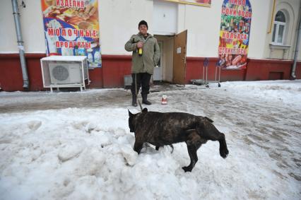 Москва. Мужчина выгуливает собаку.