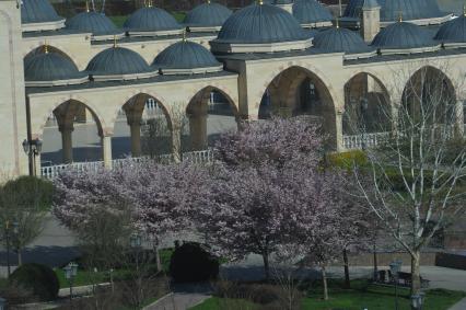 Грозный. Мечеть `Сердце Чечни` имени Ахмата Кадырова.